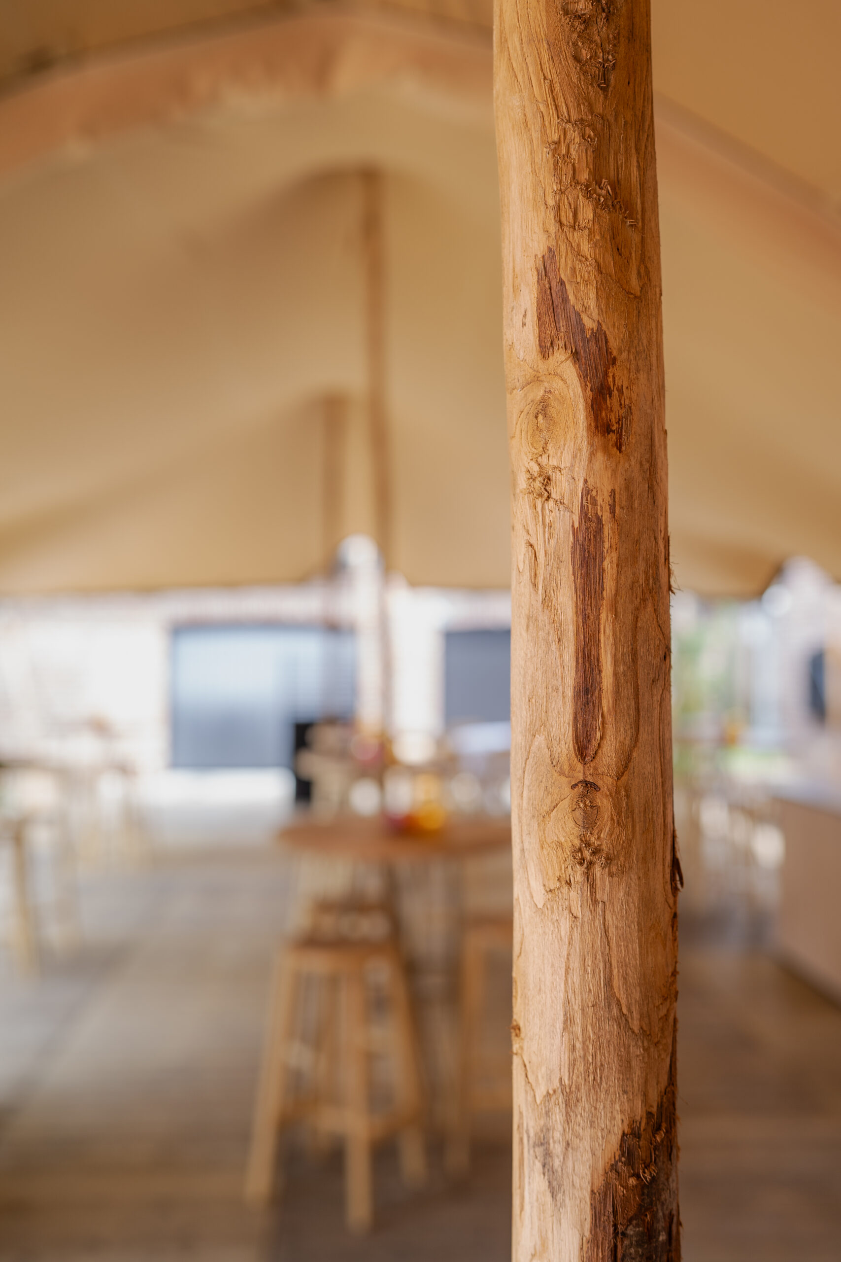 20250604-Ziedoes-Tent_in Ledegem_LR-9